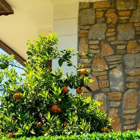 Villa Private Villa-villa Lufu *